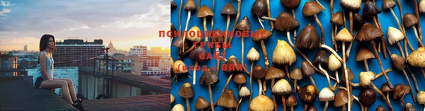 прущая мука Апатиты