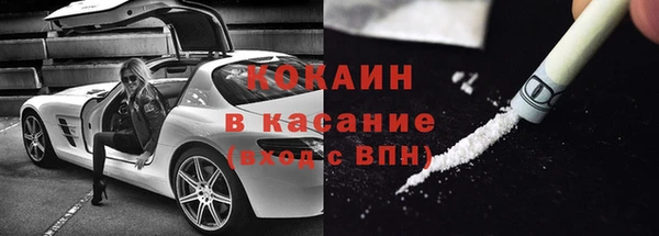 гидра Анива
