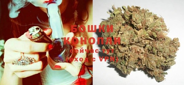молекула духа Наволоки