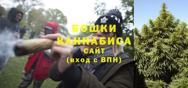 гидра Анива