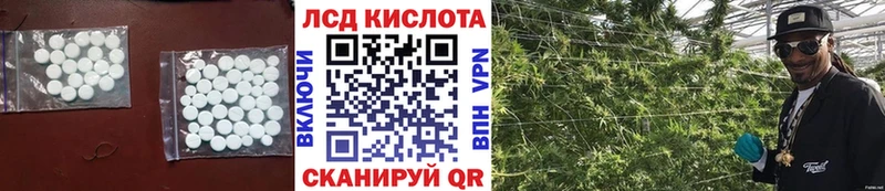 blacksprut как зайти  Талица  Лсд 25 экстази кислота 