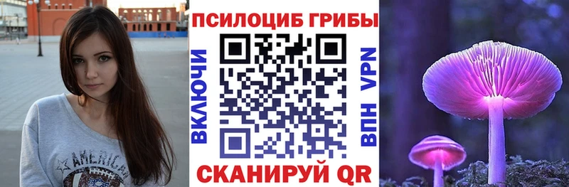 блэк спрут зеркало  Талица  Псилоцибиновые грибы Magic Shrooms  как найти закладки 